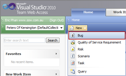 Creating a bug in Team Web Access