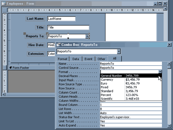 Formatting Control In Access