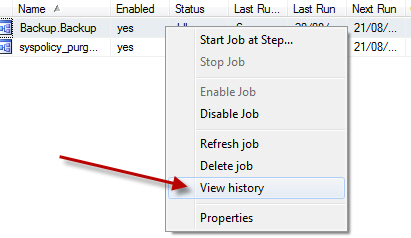 SQL Management Job - view history