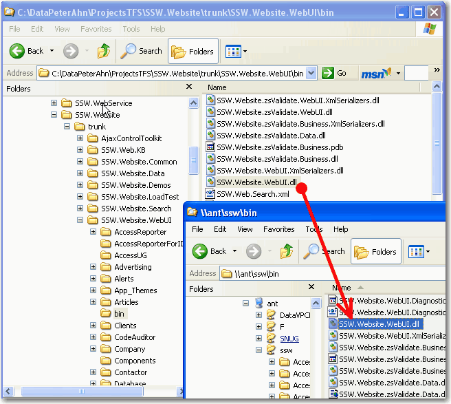 Copy the modified file and dlls into Ant