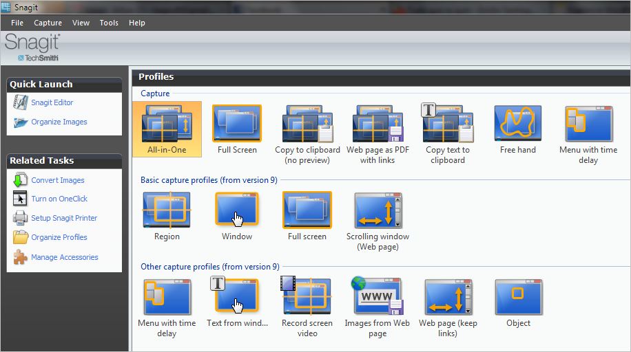 Screenshot of the Snagit windows