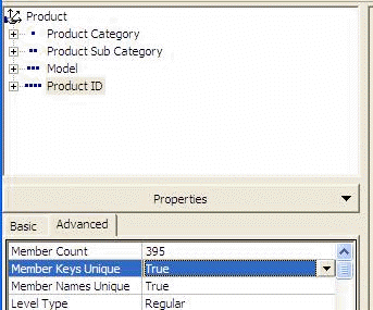OLAP Unique Member Keys